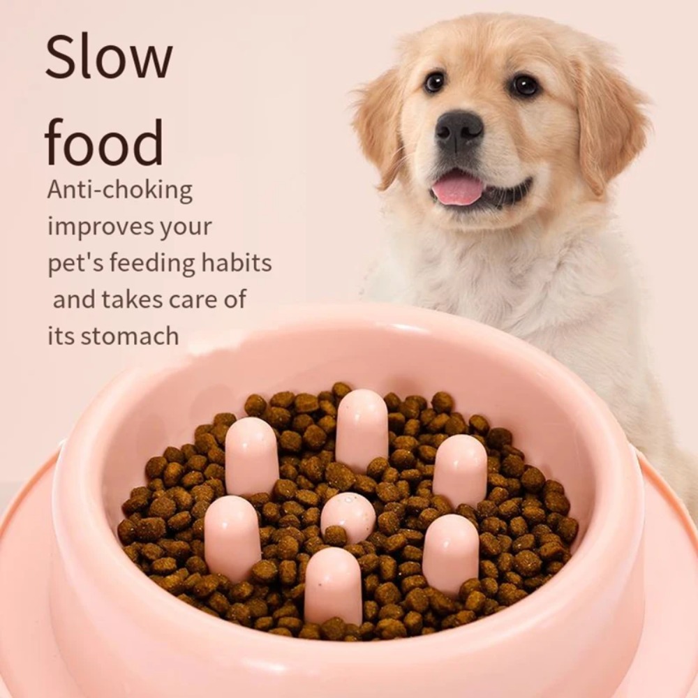 ชามอาหารสุนัขแบบกินช้า ไม่ลื่น - Royal Canin Food Medium บทวิจารณ์และราคา